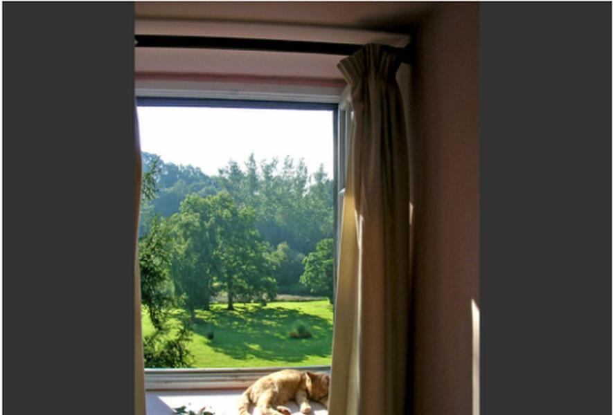 Chambres D'Hotes La BaudriereLivaie 部屋 写真